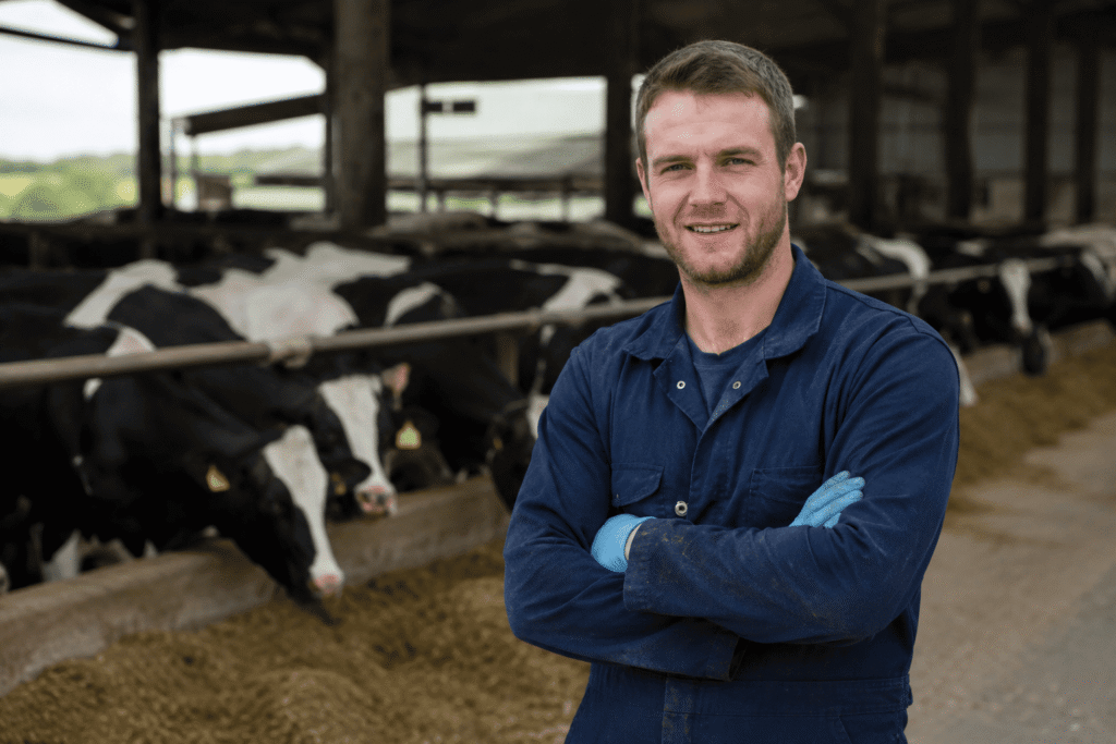 Dairy Assistant Working on a New Zealand Dairy Farm
